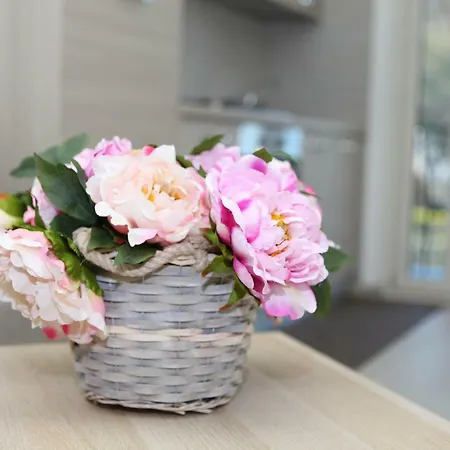 Rosy House - Hospitality Pimonte